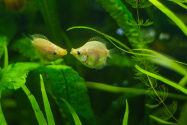 Similar image 21768404