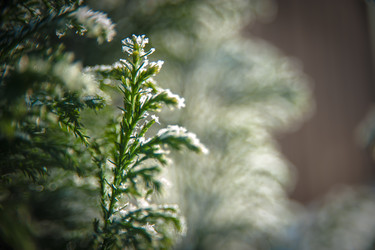 Similar image 21768406