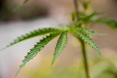 Similar image 21768407