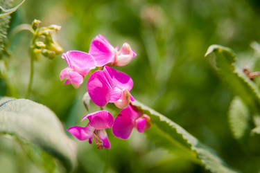 Similar image 21768408