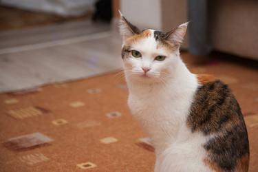 Similar image 21768415