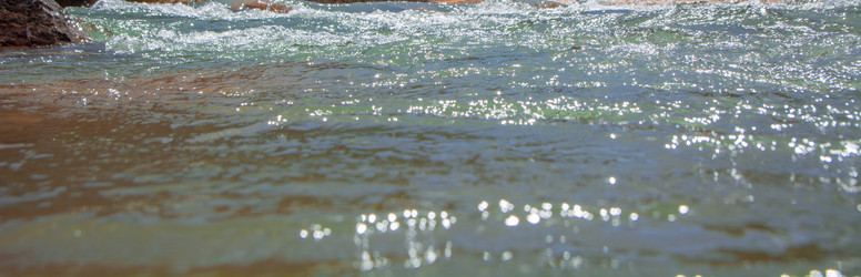 Similar image 21768418