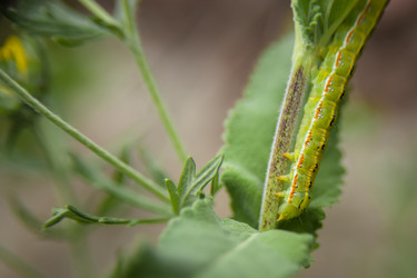 Similar image 21768420