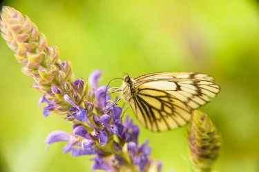 Similar image 21768421