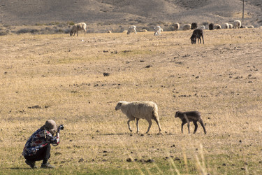 Similar image 21768422