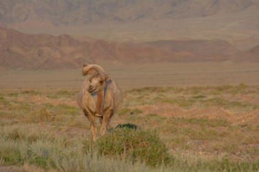 Similar image 21768424