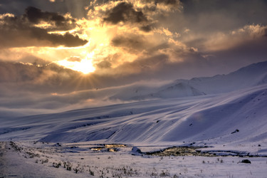 Similar image 21768426