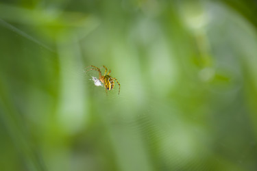 Similar image 21768427