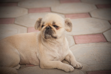 Similar image 21768433