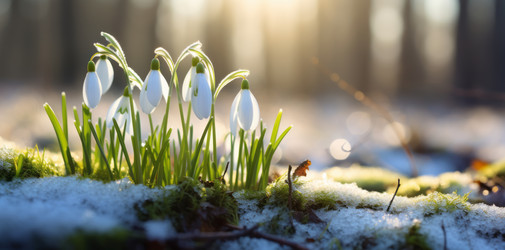 Similar image 21775086