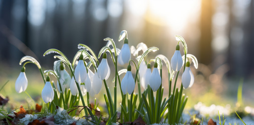 Similar image 21775087