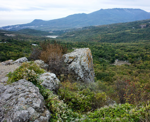 Similar image 21768811