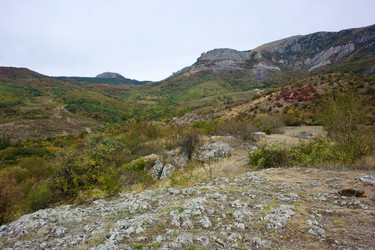 Similar image 21768812