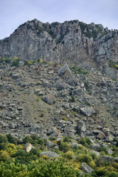 Similar image 21768814