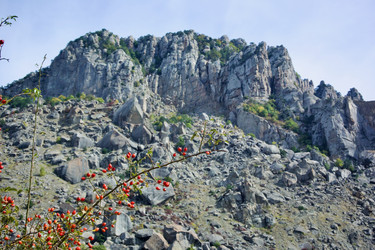 Similar image 21768819