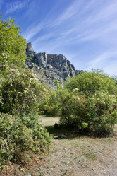 Similar image 21768821