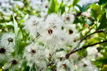 Similar image 21768823