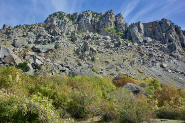 Similar image 21768824