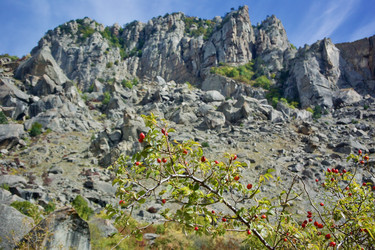 Similar image 21768826