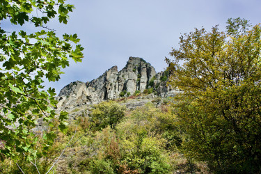 Similar image 21768830