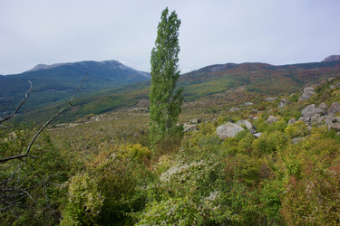 Similar image 21768831