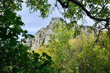 Similar image 21768832