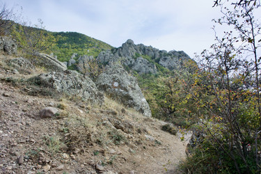 Similar image 21768834