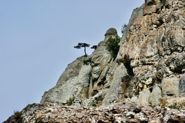 Similar image 21768835