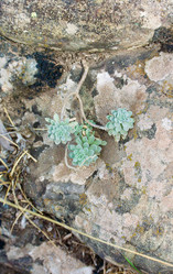 Similar image 21768836