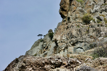 Similar image 21768837