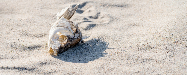 Similar image 21769447