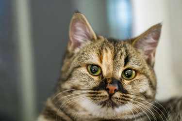 Similar image 21769450