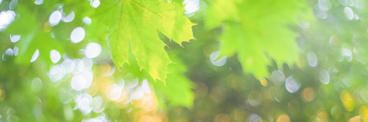 Similar image 21769452