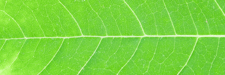 Similar image 21769454