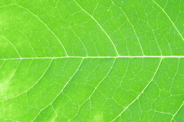 Similar image 21769455