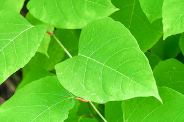 Similar image 21769456