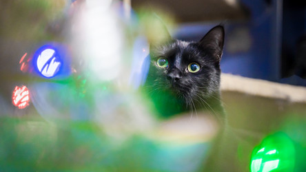 Similar image 21769458