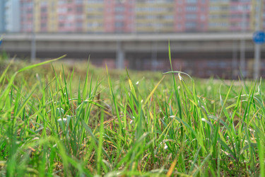 Similar image 21769461