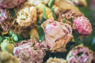 Similar image 21769467