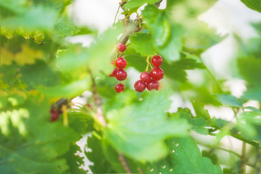 Similar image 21769468