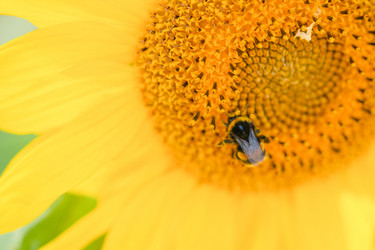 Similar image 21769469