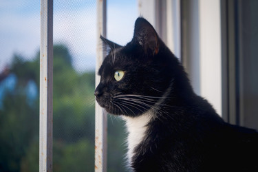 Similar image 21769471