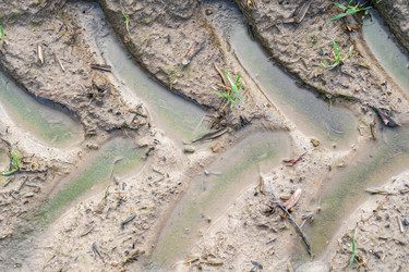 Similar image 21769475