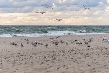 Similar image 21769479