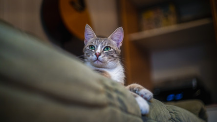 Similar image 21769482