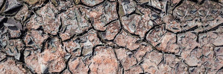 Similar image 21769484