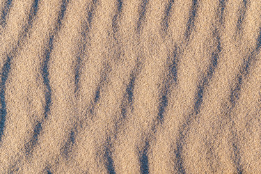 Similar image 21769487