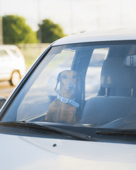 Similar image 21769488