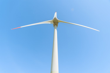 Similar image 21769497