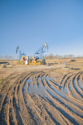 Similar image 21769498